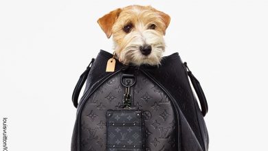 Bolso Louis Vuitton para bolsas de heces de mascotas, ¡cuesta una fortuna!