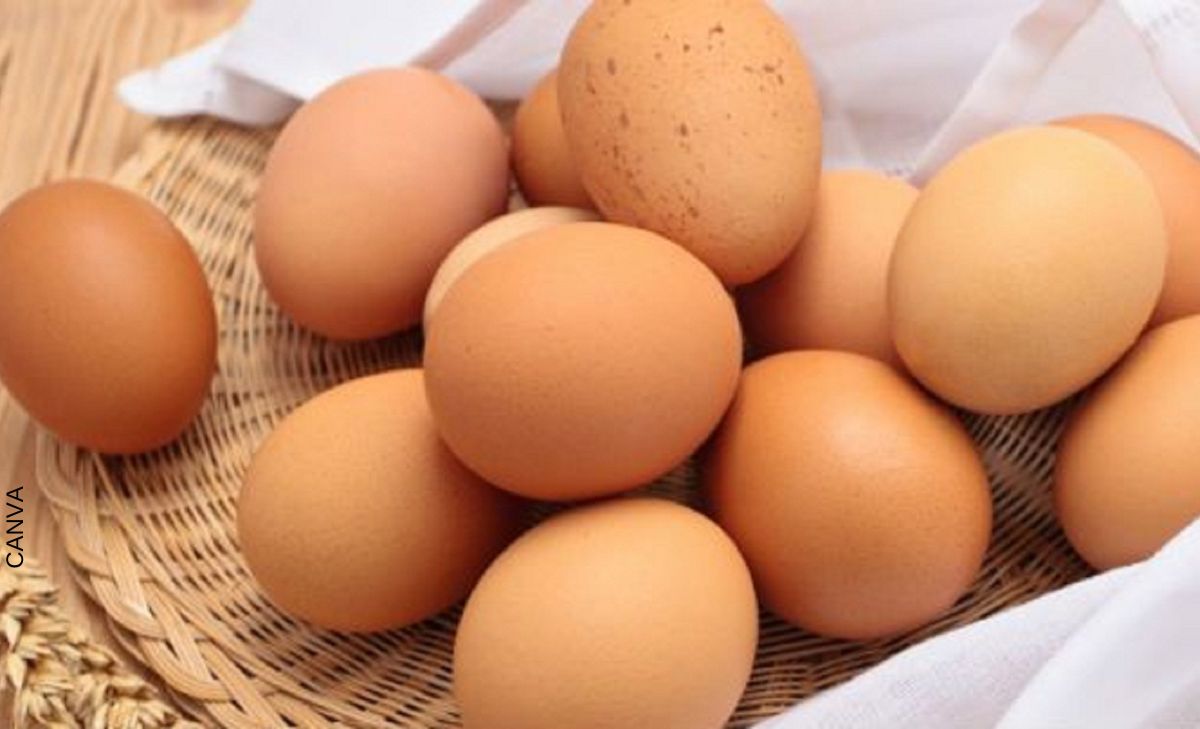 Cuánta proteína tiene un huevo y qué aporta al cuerpo