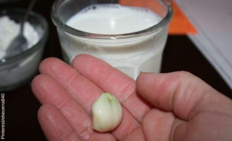 Leche Con Ajo Para Qu Sirve Y Qu Propiedades Tiene Vibra