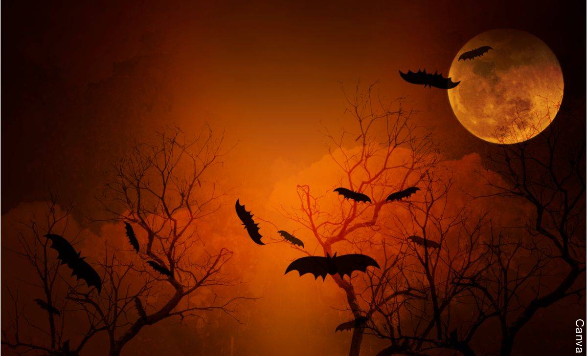 Luna llena octubre: ¿Por qué la llaman "del cazador"