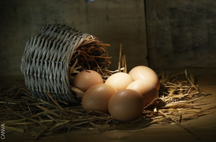 Foto de una canzas volteada con huevos en el suelo