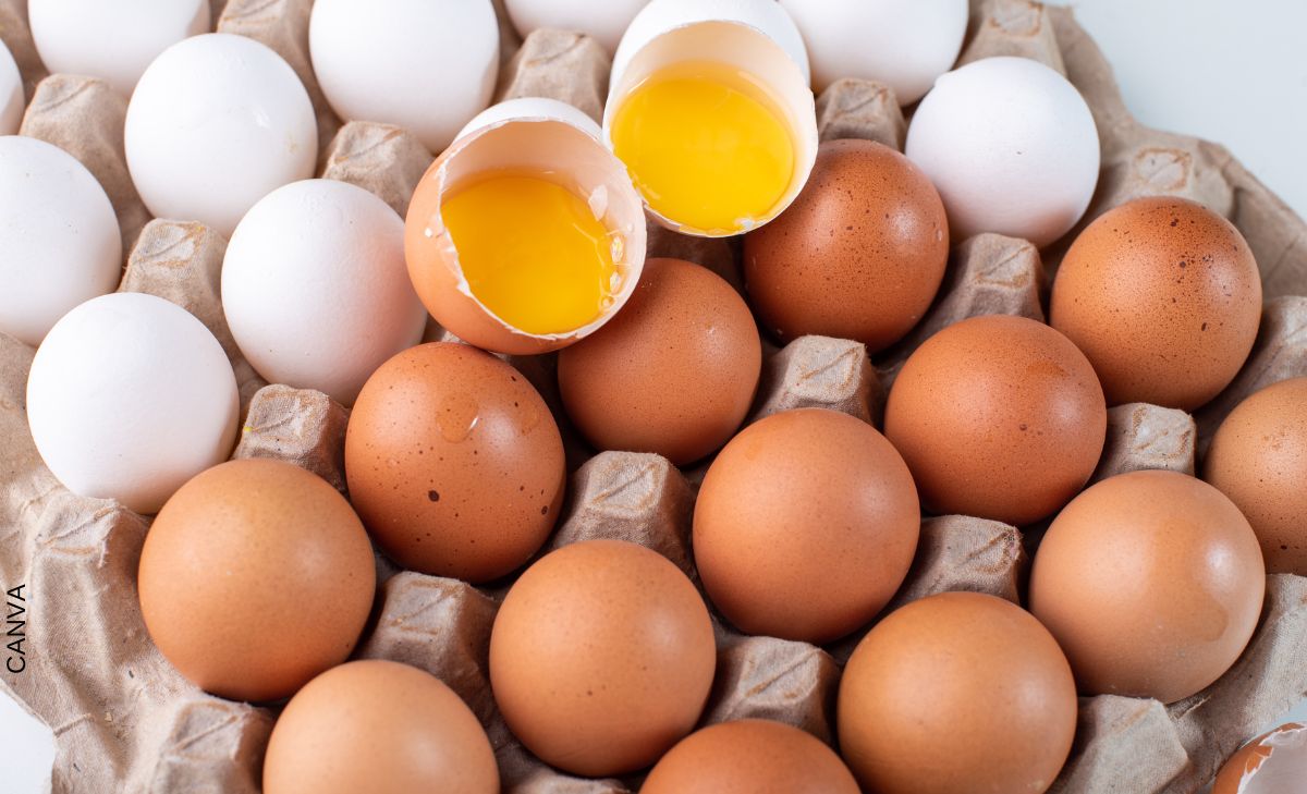 Ovoproductos, conoce de qué se trata este uso del huevo