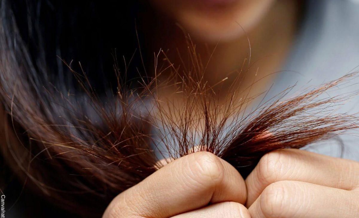 Por sale horquilla en el cabello?, cómo evitarla y quitarla - Vibra