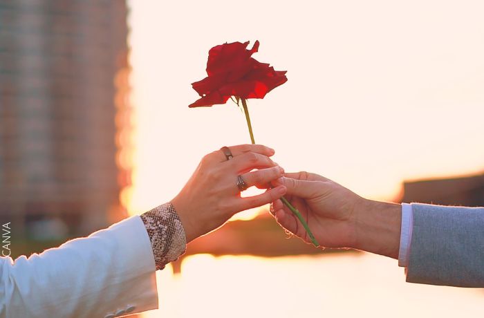 Foto de una persona dándole una flor roja a otra