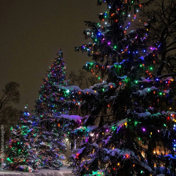 Foto de árboles de Navidad con luces de colores