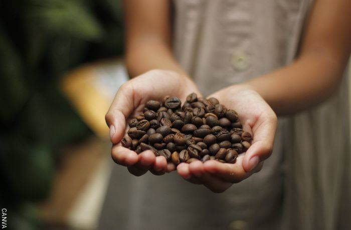 Foto de una mujer sosteniendo granos de café