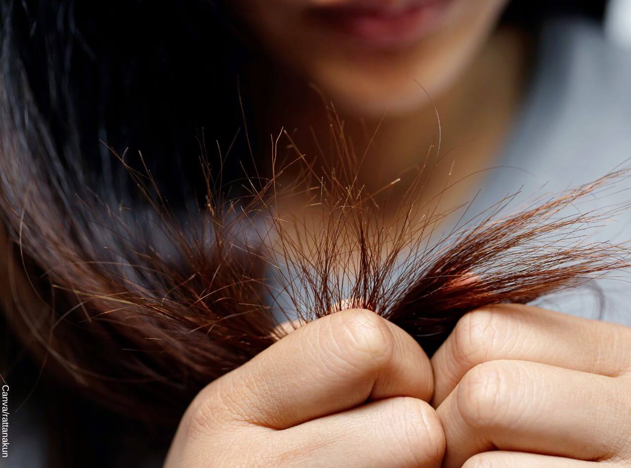 ¿Por qué sale horquilla en el cabello?, cómo evitarla y quitarla