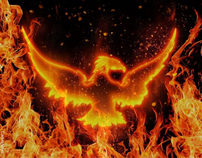 Ilustración de un ave de fenix en medio del fuego como uno de los símbolos de fuerza interior