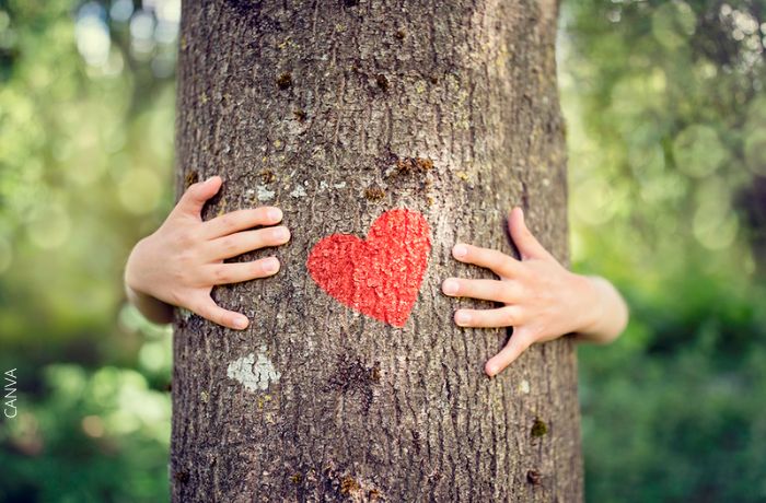 Foto de una persona abrazando un árbol con un corazón rojo dibujado en la mitad