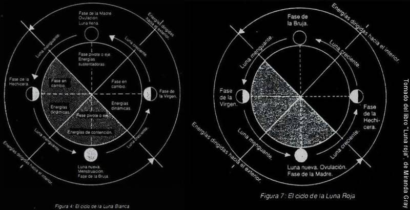 Ilustración de dos ciclos menstruales lunares