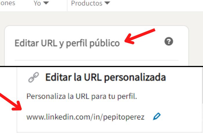 Ilustración de buscar la URL en LinkedIn