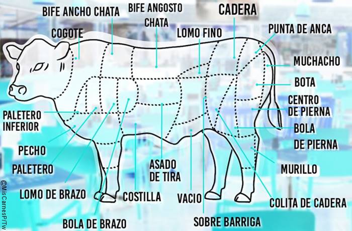 Ilustración de las partes de la vaca - carne