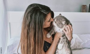 ¿Qué perciben los gatos en las personas? Un misterio
