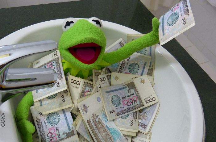 Foto de un muñeco de sapo con muchos billetes