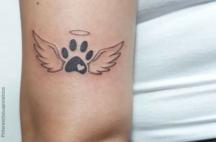 Foto dde un tatuaje de huella de perro con alas y areola