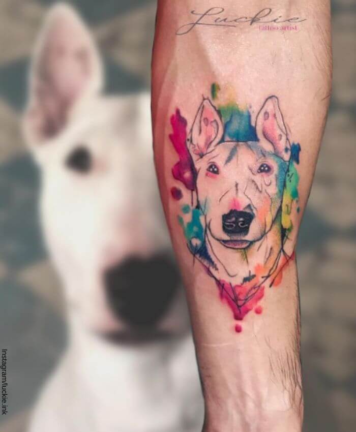 Foto de un tatuaje de perro raza bull terrier realizado en estilo acuarela en el antebrazo, el modelo está detrás