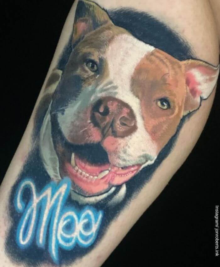 Foto de un tatuaje de un perro pitbull a color