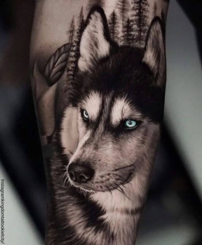 Foto de un tatuaje de un husky siberiano en realismo