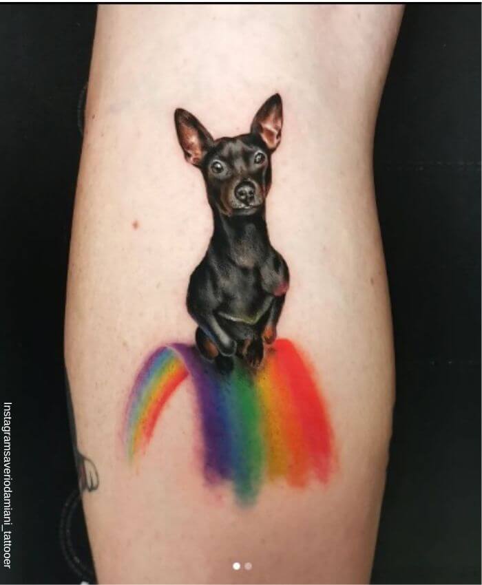Foto de un tatuaje a color de un perro raza pinscher sobre un arcoirirs