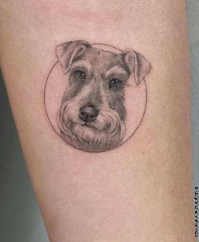 Foto del tatuaje realista de un perro raza schnauzer