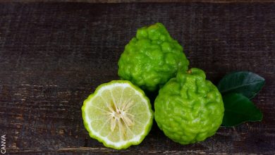 Bergamota: para qué sirve y cómo se emplea esta fruta
