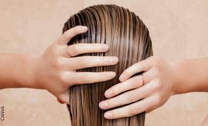 Cómo exfoliar el cuero cabelludo y cuáles son sus aportes