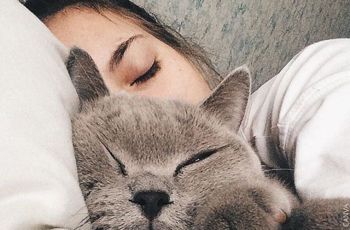 Foto de un gato durmiendo con una mujer