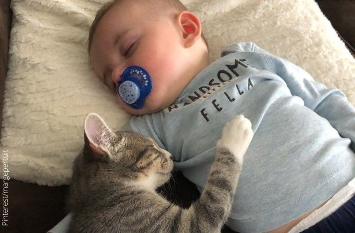 Foto de un bebé durmiendo con un gato