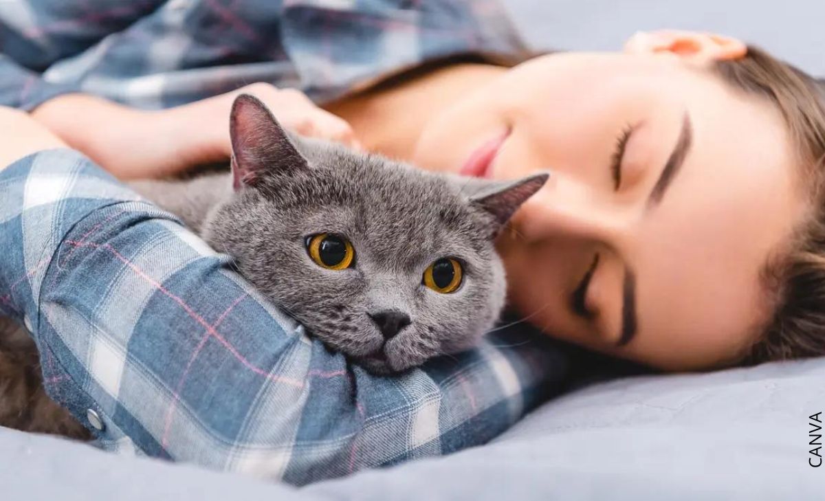 ¿Es malo dormir con gatos? Te contamos la verdad