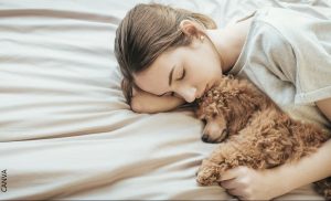 ¿Es malo dormir con perros? Beneficios y desventajas