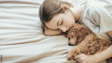 ¿Es malo dormir con perros? Beneficios y desventajas