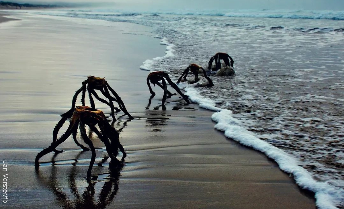 Fotos de supuestos alienígenas en la playa causaron pánico en redes