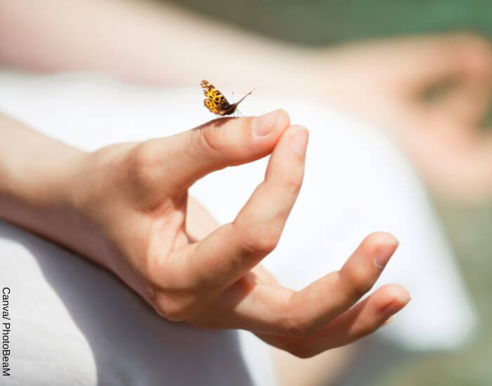Foto de una mariposa amarilla posada sobre la mano de una persona meditando en representación del karma y dharma