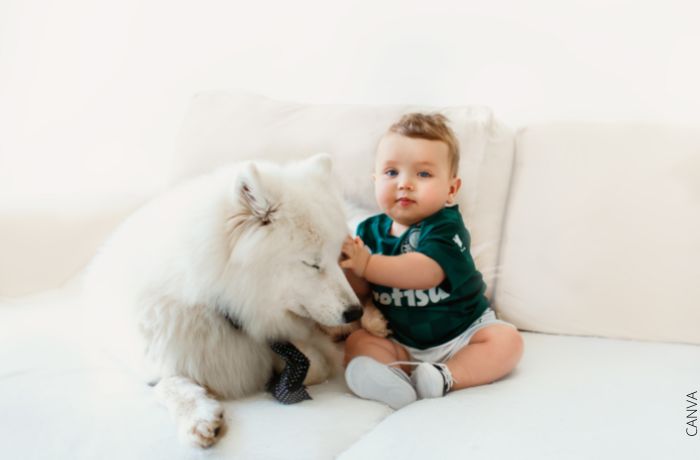 Foto de un bebé con un perro