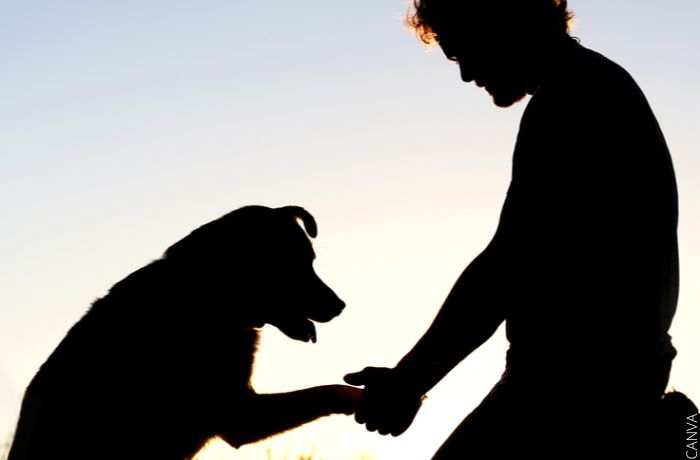 Foto de la silueta de un hombre dándole la mano a su perro