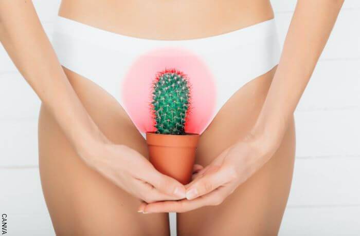 Foto del vientre de una mujer con un cactus