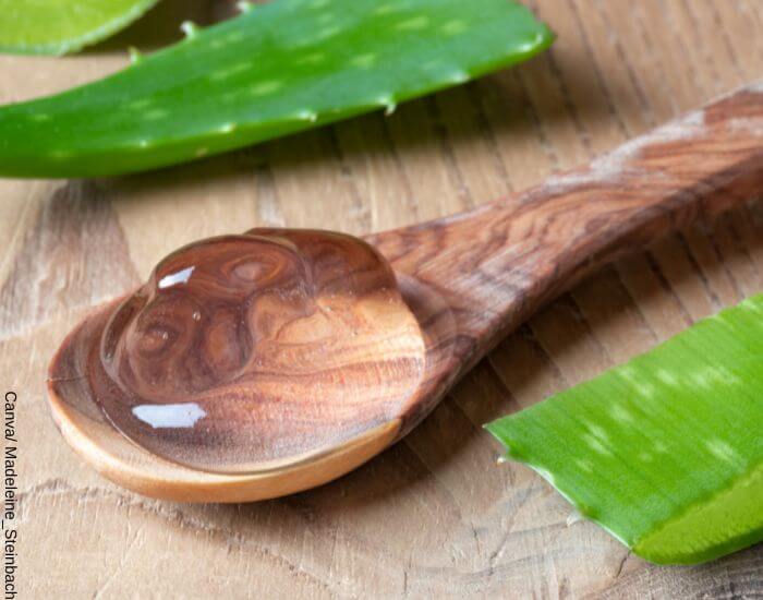 Foto de una cuchara de madera con gel de aloe vera como uno de los ingredientes para los remedios caseros para la caspa