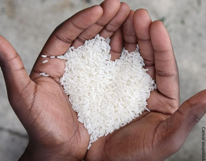 Foto de dos manos sosteniendo un puñado de arroz que forma un corazón para representar el soñar con arroz