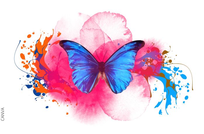 Ilustración de una mariposa azul