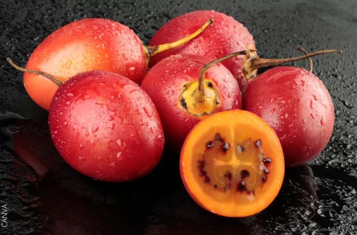 Foto de unos tomates de árbol