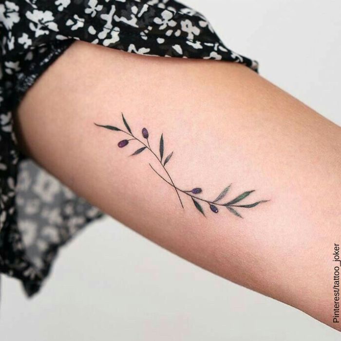 Foto de un tatuaje de hojas de olivo