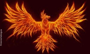 Ave Fénix: significado que puedes aplicar en tu vida diaria