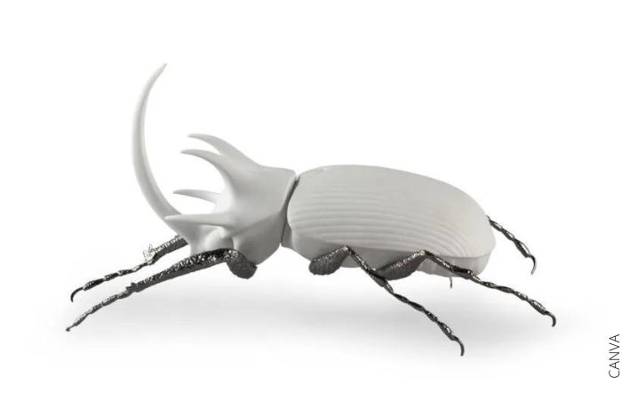 Foto de una figura de escarabajo blanco