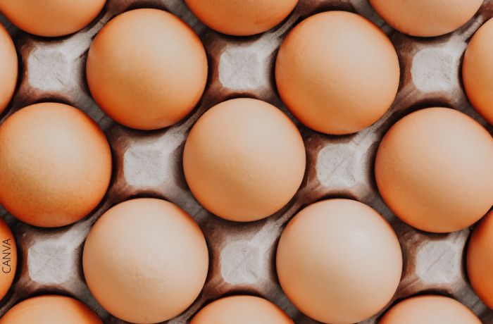 Foto de huevos en cubeta