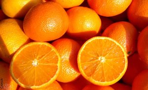 Soñar con naranjas indica que vas por el camino correcto
