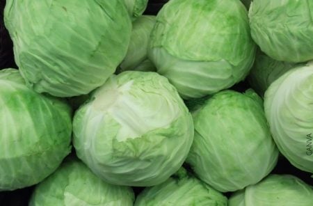 ¿Cómo secar la leche materna? ¡Alternativas muy efectivas!