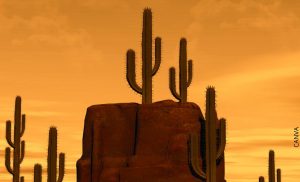 Soñar con cactus, ¡señal de fortaleza y adaptación!