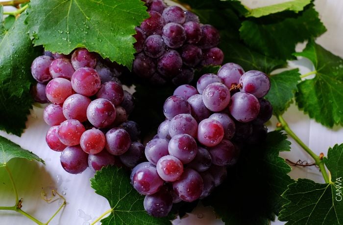 Foto de uvas moradas