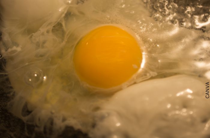 Foto de un huevo en agua