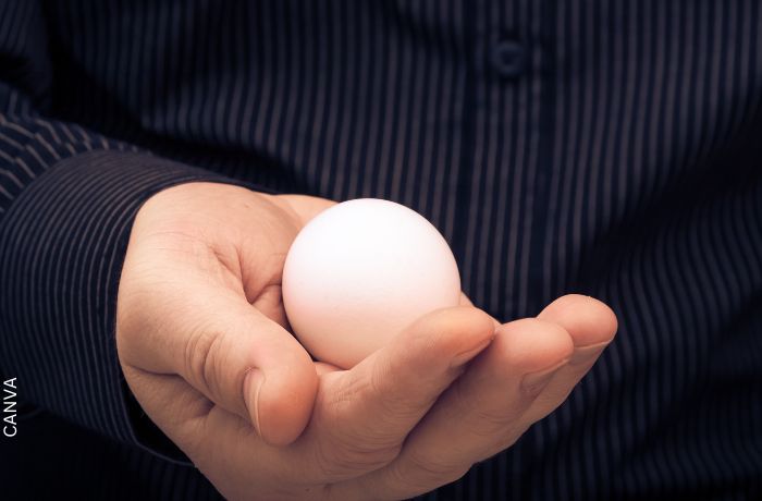 Foto de una mano con un huevo